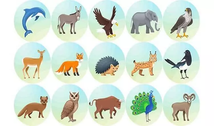 Cal é o seu patrón de animais?