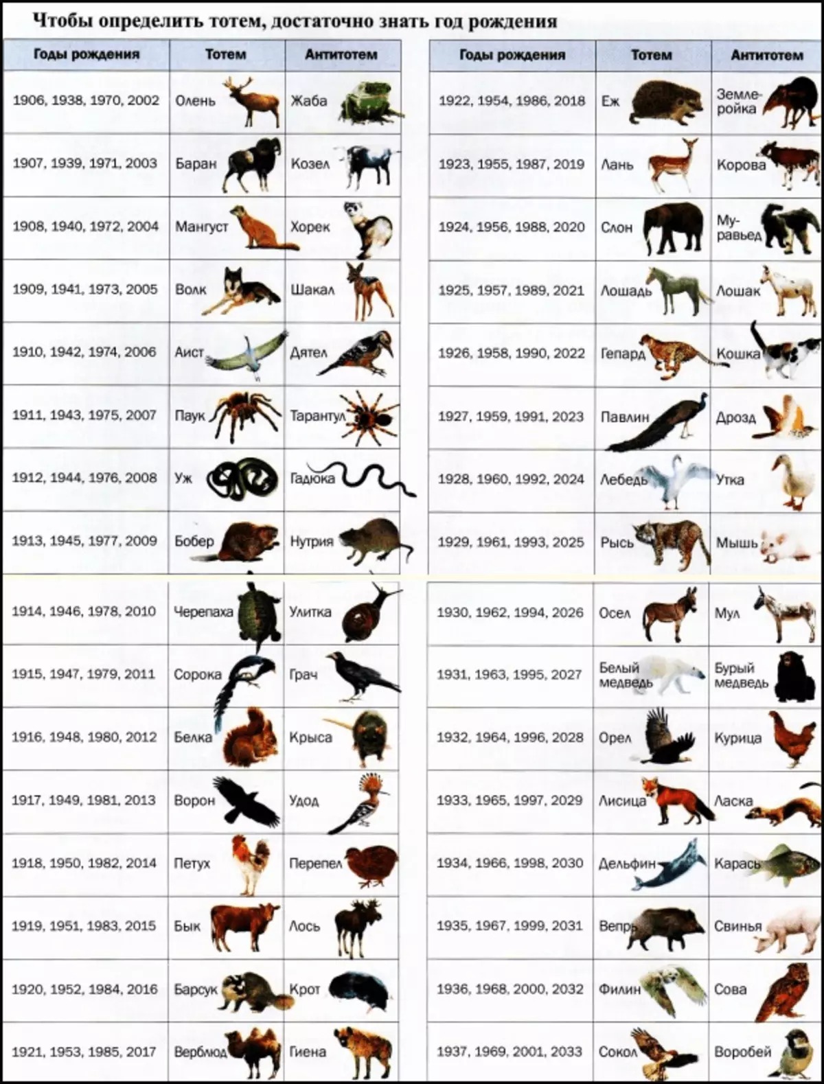Animal data