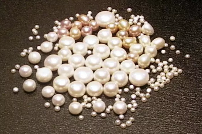 Perlas de piedra viuda