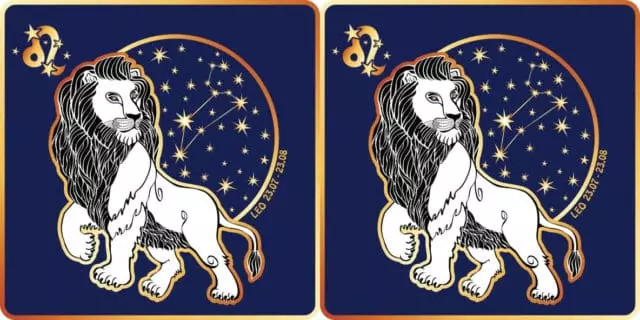Compatibility of lion and lion in relationships, love, marriage 1330_1