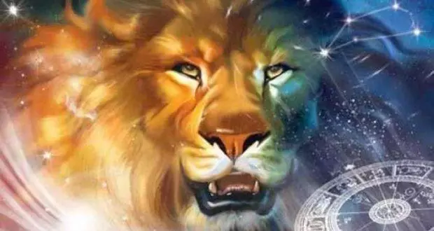 Compatibility of lion and lion in relationships, love, marriage 1330_3