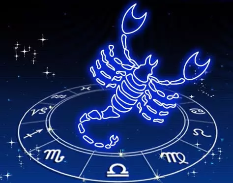 Scorpion karakter