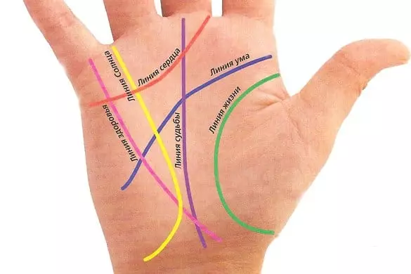 קו החיים על כף היד: על איזה יד לצפות וכיצד לפענח + תמונה