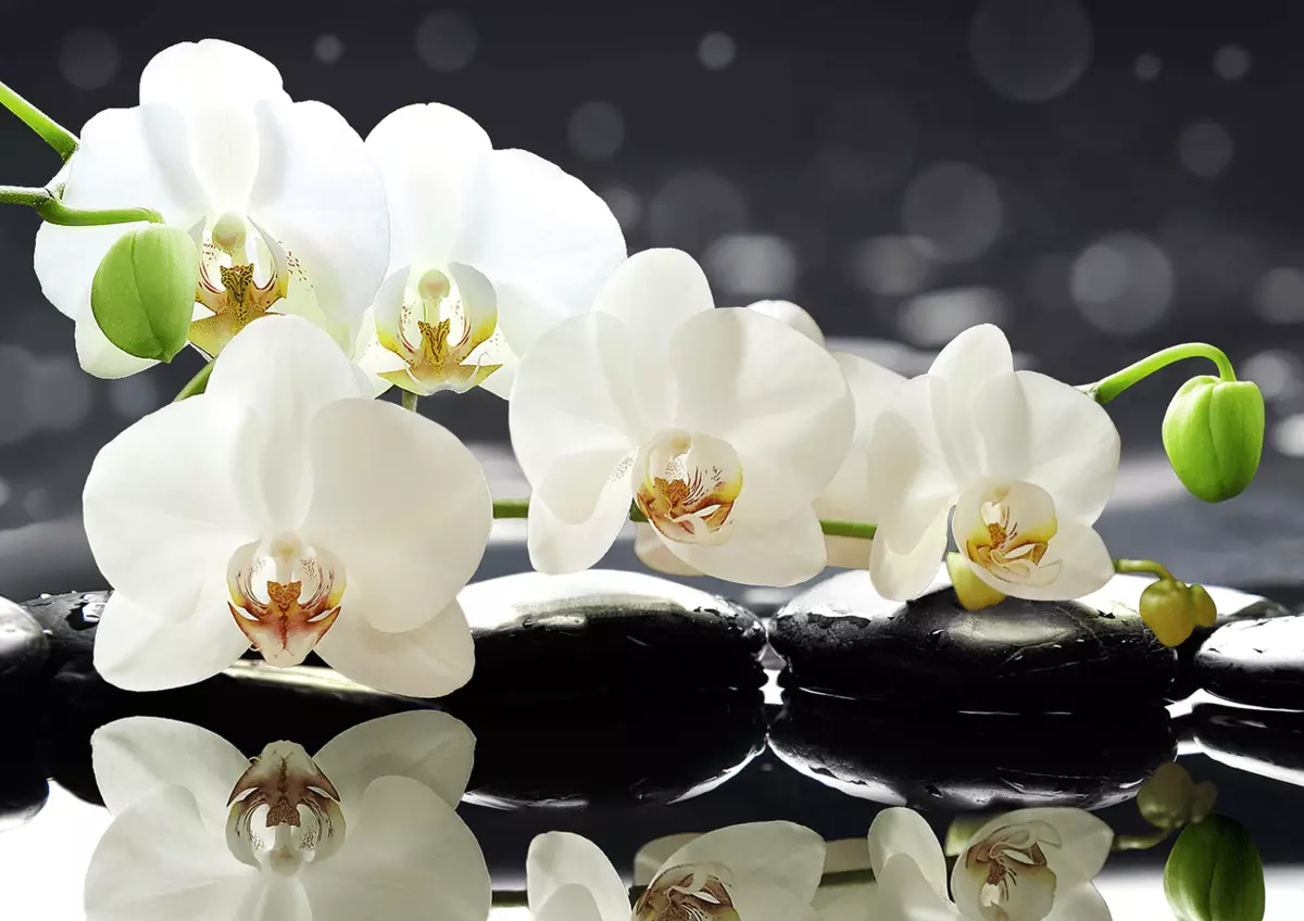 Weiße Blüten - ein Symbol der Liebe