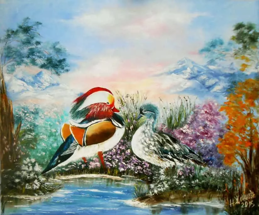 Mandaring Duck vzor na plátně