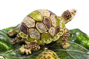 Turtle Feng Shui