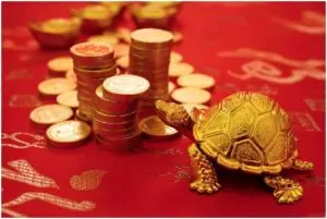 烏龜吸引了錢