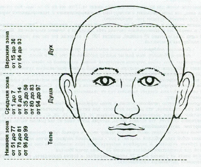 Physiognomy Minsan Face Peta