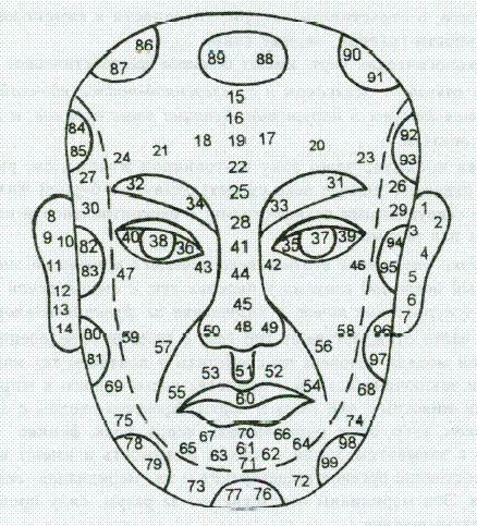 Physiognomy Minsan Face Map
