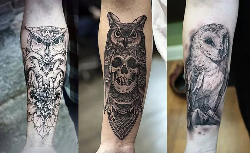 Vrijednost tetovažu sovu