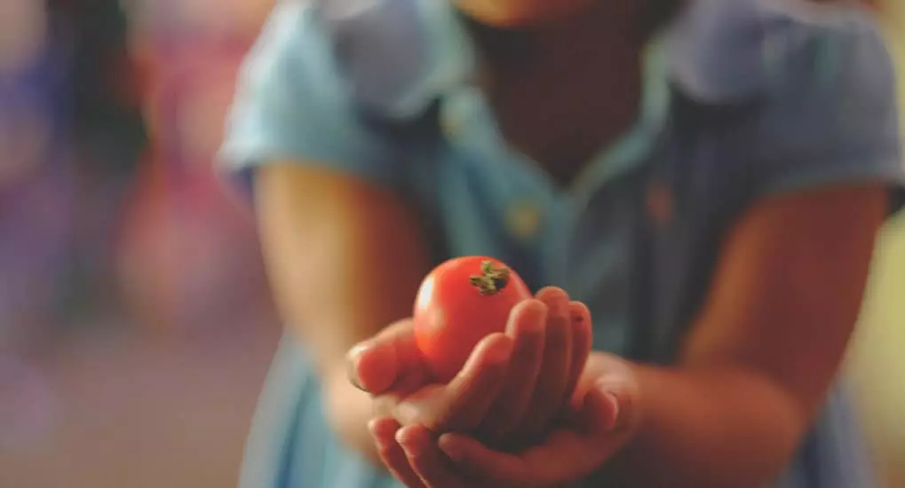 Gadis itu memegang tomat di tangannya