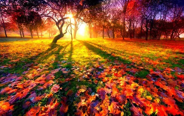 Autumnal Equinox.