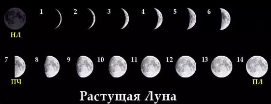 20 januari: fasen van de maan