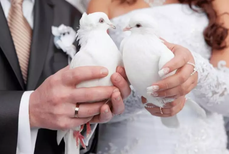 Përvjetori i dasmës: Çfarë dasmash sa vjeçare