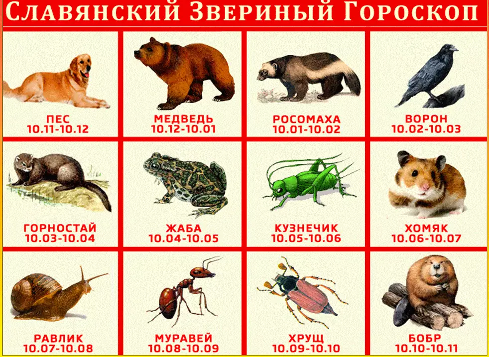 calendario eslavo de animales