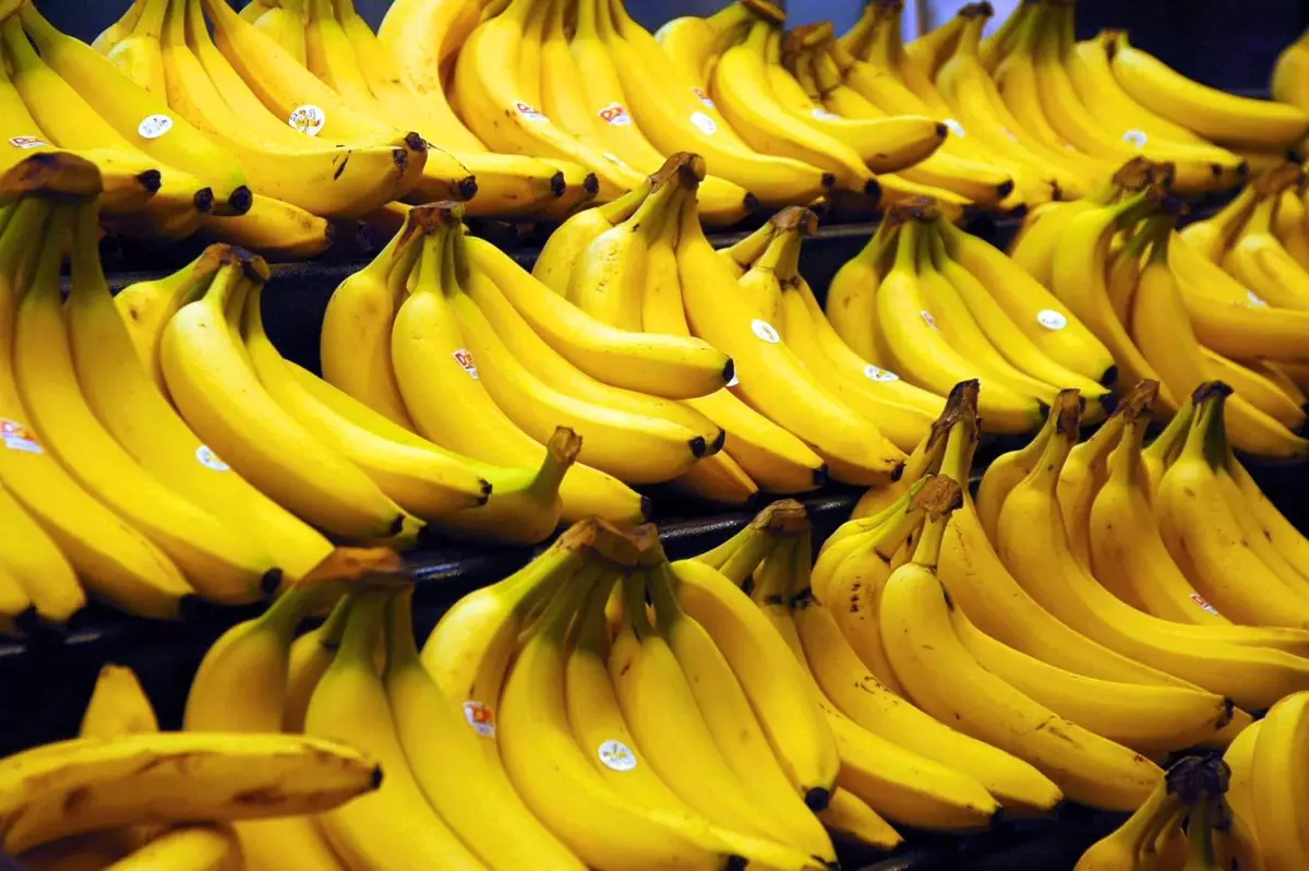 Countertop bi bananas