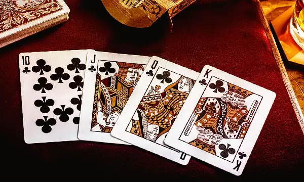 La fortune raconte sur les cartes rétrécies - la fortune la plus véridique qui dit 4083_1