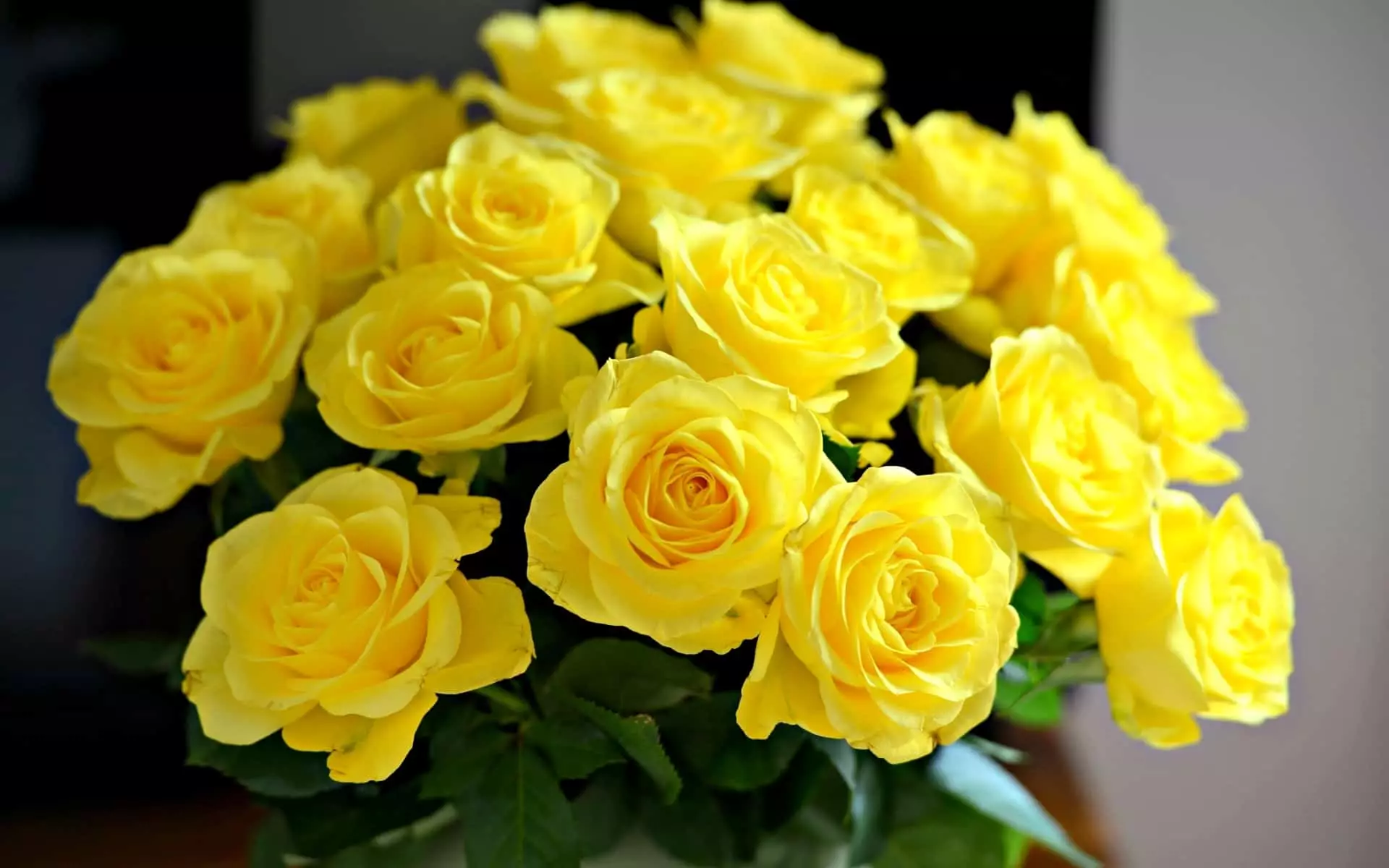 Er det mulig å gi gule roser?
