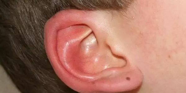 Qual è l'orecchio destro sui segni - cosa significa 4229_1