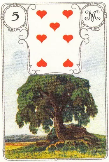 Мод, 7 өт