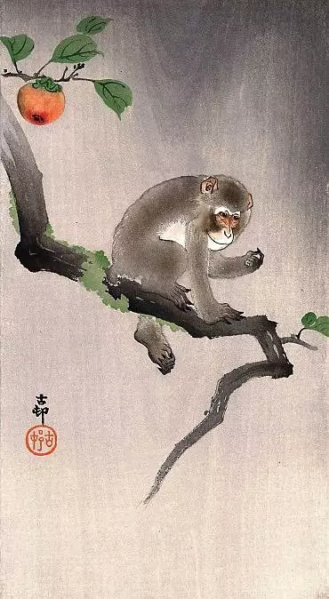 Oriental Horoscope Monkey