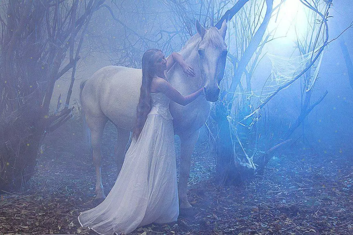 Каков сон на коњ жена и човек во соништа 4353_2