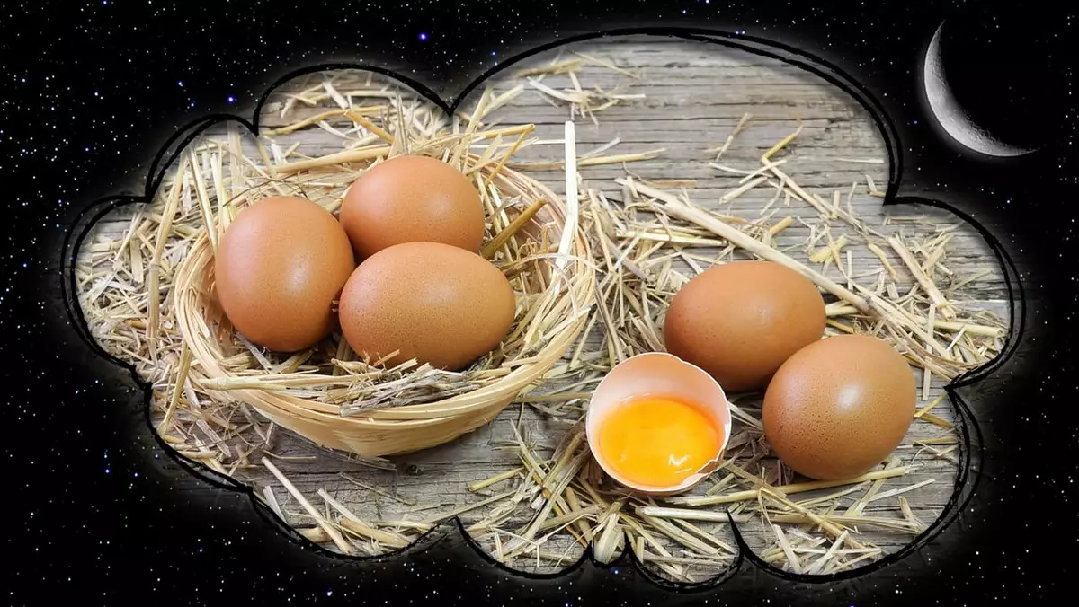 Kāpēc sapņo olas