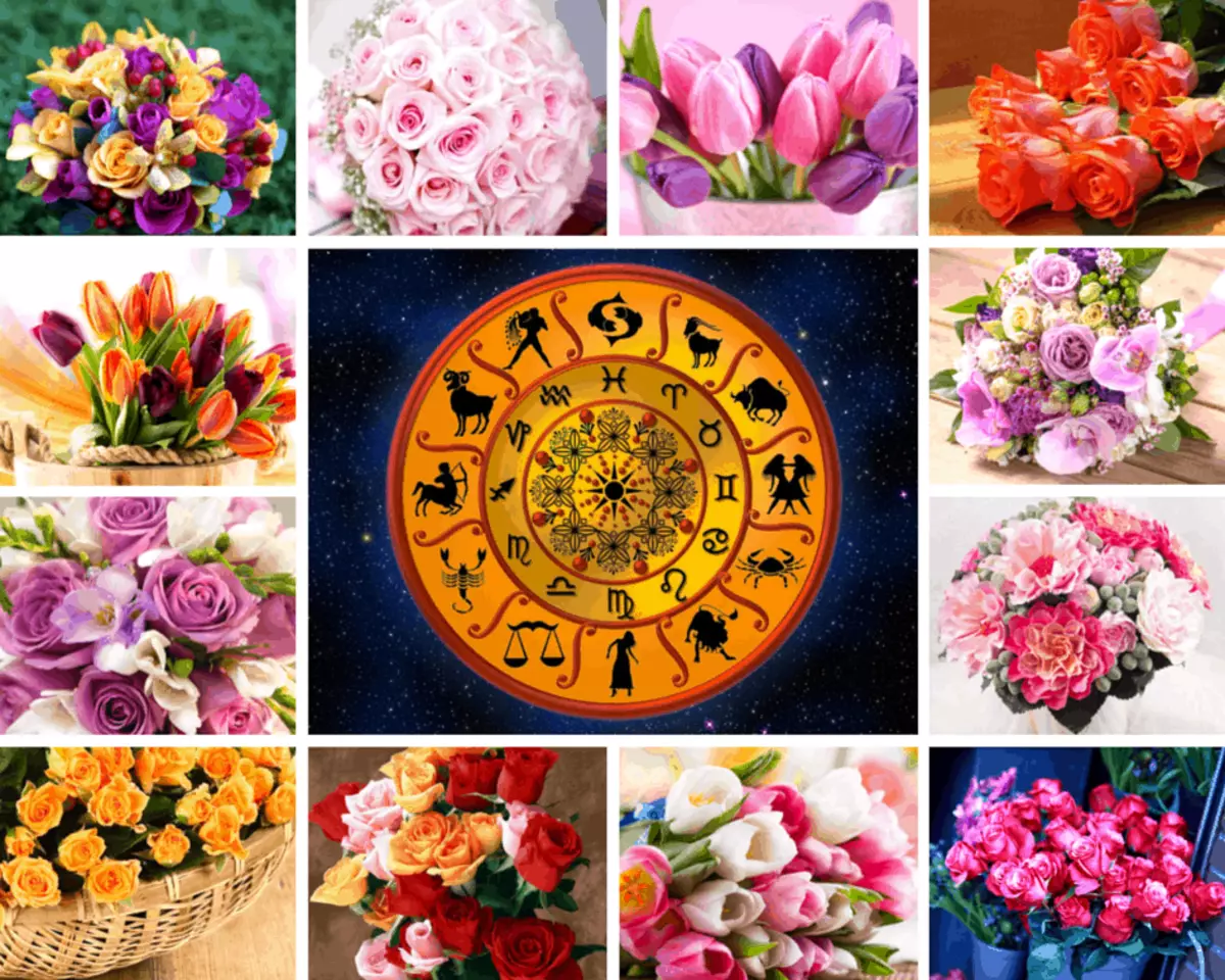Horoskopi lule sipas datës së lindjes