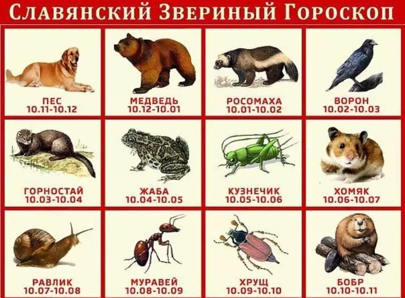 Slavic horoskooppi syntymäpäivänä
