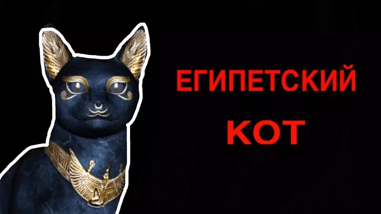 Ինչպես անվանել եգիպտական ​​կատու դերասանություն 4428_1