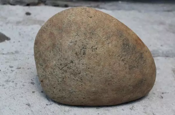 Ритуал на камен од пацова и мишева