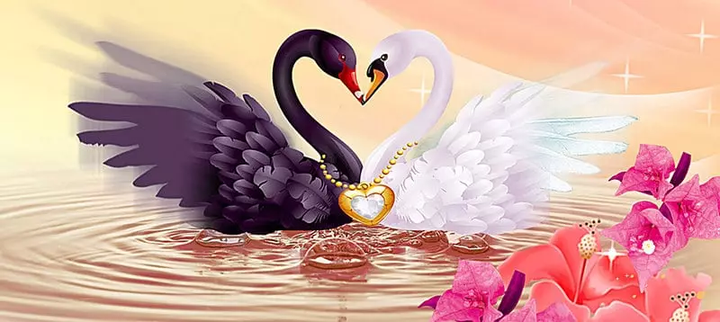 Swans - meilės simbolis