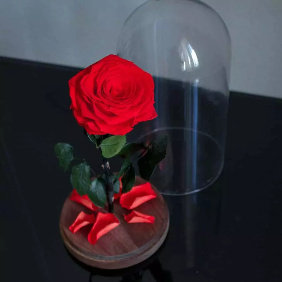 फ्लास्क में लाल गुलाब