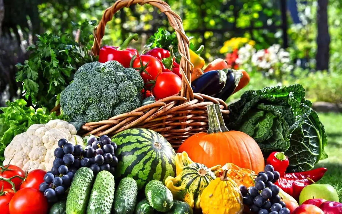 新鮮な野菜や果物のエネルギーを得る
