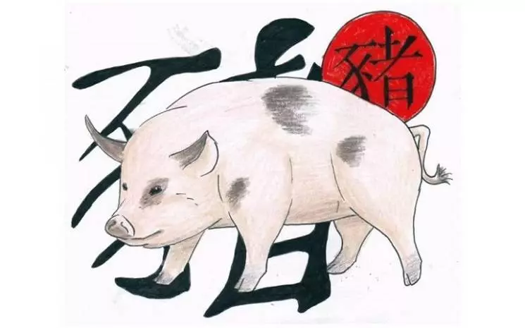 Año de cerdos en el horóscopo oriental.