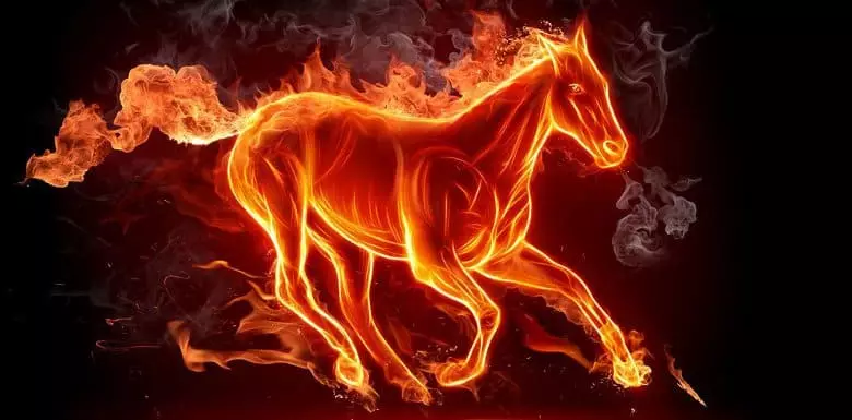 Kuda api - bahkan lebih temperamen