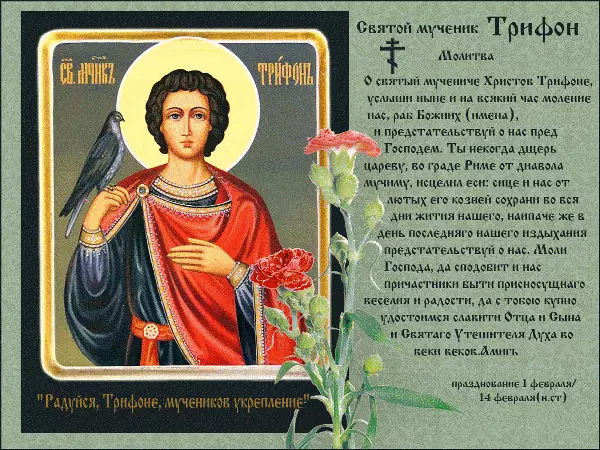 Prayer of the Holy Martyr Trifon about helping 4708_2