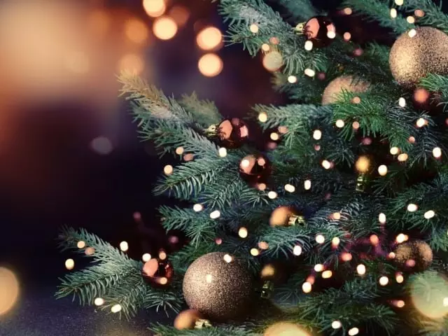 Pohon Natal Tahun Baru akan membantu memenuhi yang diinginkan