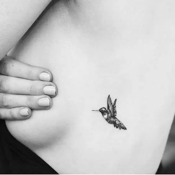 Hummingbird - Mala, ali hrabra ptica