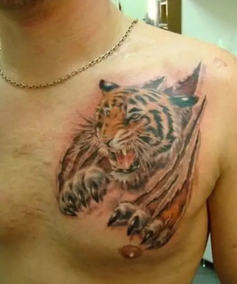 Tattoo na tiger hasira.