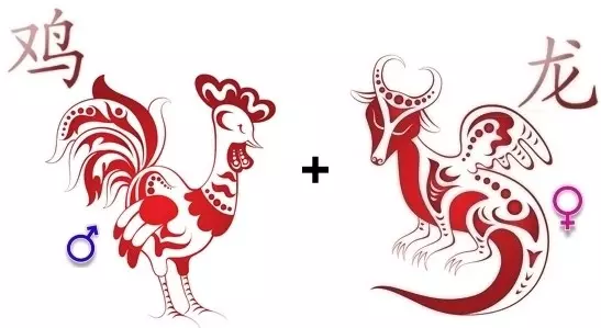 Compatibility Dragon Rooster në Marrëdhëniet
