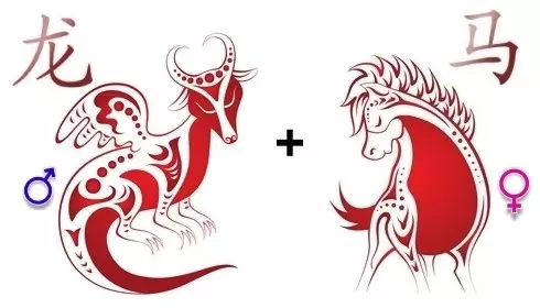 Cavalo do dragão da compatibilidade