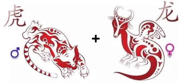 Tiger compatibility and dragon.