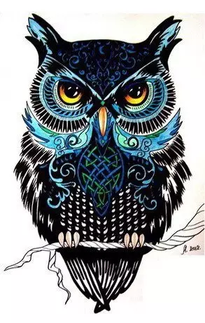 Tatoo Owl Picha