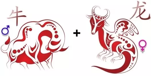 Compatibilità Bull Dragon nelle relazioni