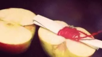 Verschwörung auf einem Apfel auf Gesundheit