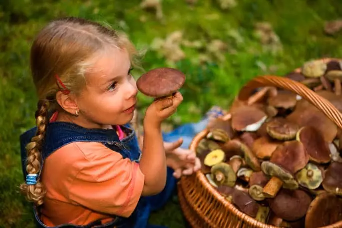 Vajza mblodhi kërpudha