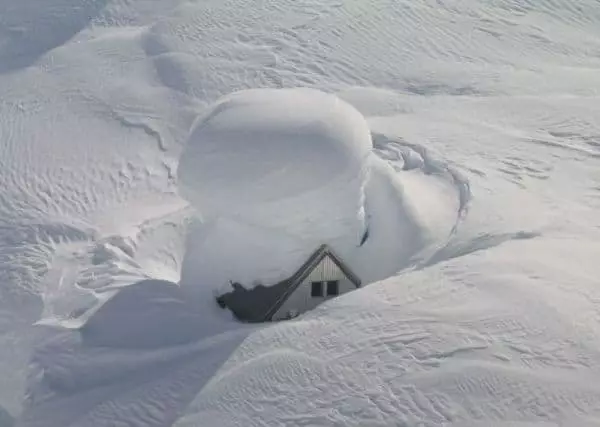 Hus fylt med snø