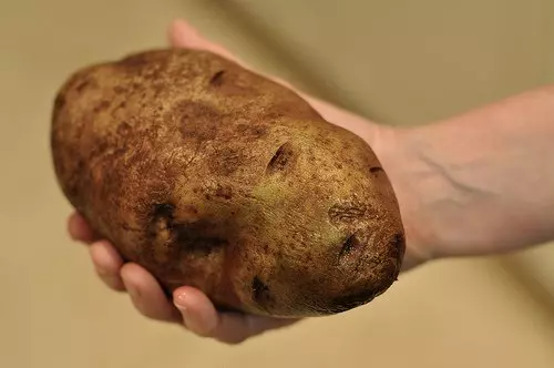 Velik krompir