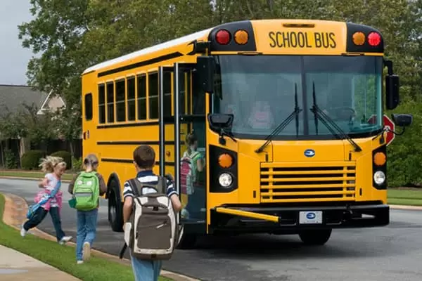 School avtobus